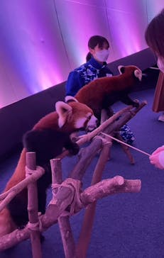 横浜・八景島シーパラダイスに投稿された画像（2024/11/7）