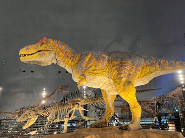 福井県立恐竜博物館に投稿された画像（2024/11/7）
