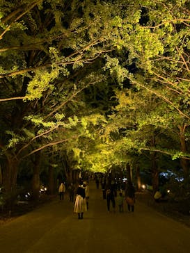 国営昭和記念公園 秋の夜散歩に投稿された画像（2024/11/7）