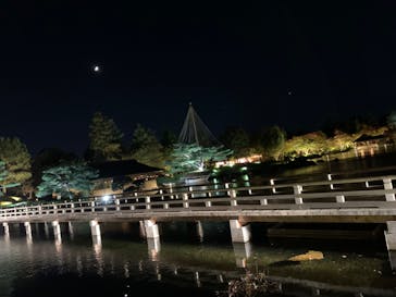 国営昭和記念公園 秋の夜散歩に投稿された画像（2024/11/7）