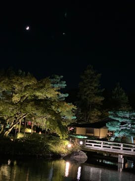 国営昭和記念公園 秋の夜散歩に投稿された画像（2024/11/7）