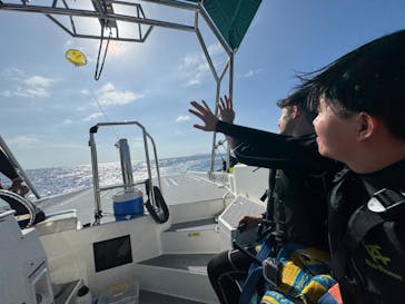 Sea World（シーワールド）に投稿された画像（2024/11/7）