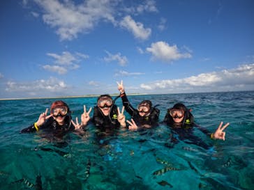 Sea World（シーワールド）に投稿された画像（2024/11/7）