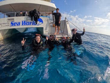 Sea World（シーワールド）に投稿された画像（2024/11/7）