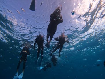 Sea World（シーワールド）に投稿された画像（2024/11/7）