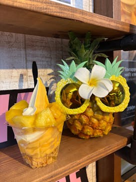 おきなわワールドに投稿された画像（2024/11/7）