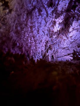 おきなわワールドに投稿された画像（2024/11/7）