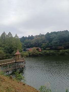 ムーミンバレーパークに投稿された画像（2024/11/8）