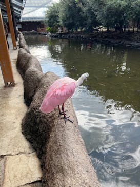 神戸どうぶつ王国に投稿された画像（2024/11/5）