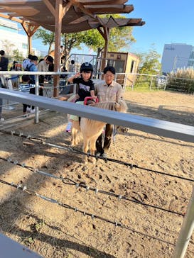 神戸どうぶつ王国に投稿された画像（2024/11/5）