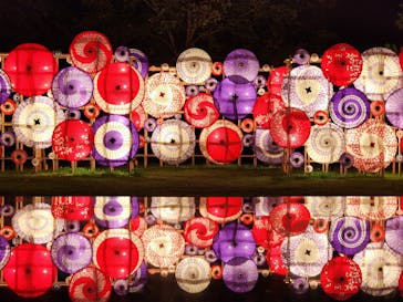 国営昭和記念公園 秋の夜散歩に投稿された画像（2024/11/8）