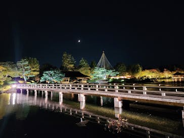 国営昭和記念公園 秋の夜散歩に投稿された画像（2024/11/8）