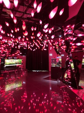 AQUARIUM × ART　atoaに投稿された画像（2024/11/8）