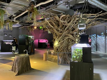 AQUARIUM × ART　atoaに投稿された画像（2024/11/8）