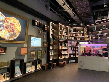 AQUARIUM × ART　atoaに投稿された画像（2024/11/8）