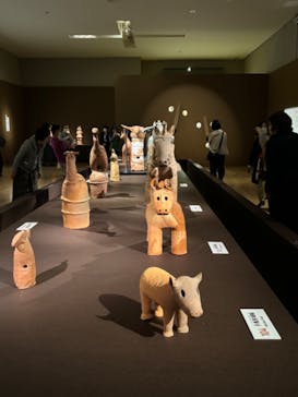 挂甲の武人 国宝指定50周年記念 特別展「はにわ」@東京国立博物館 平成館に投稿された画像（2024/11/8）