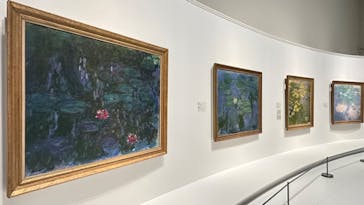 モネ 睡蓮のとき（国立西洋美術館）に投稿された画像（2024/11/8）