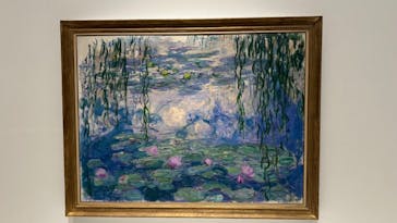 モネ 睡蓮のとき（国立西洋美術館）に投稿された画像（2024/11/8）