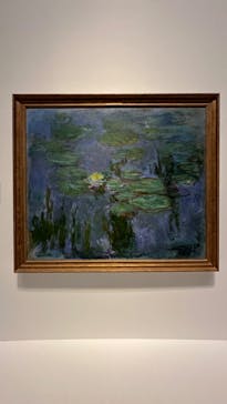 モネ 睡蓮のとき（国立西洋美術館）に投稿された画像（2024/11/8）