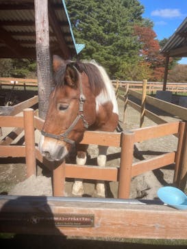 那須どうぶつ王国に投稿された画像（2024/11/8）