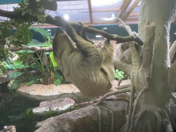 那須どうぶつ王国に投稿された画像（2024/11/8）