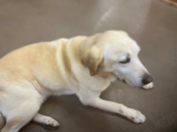 那須どうぶつ王国に投稿された画像（2024/11/8）