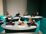 特別展「鳥 ～ゲノム解析が解き明かす新しい鳥類の系統～」国立科学博物館に投稿された画像（2024/11/8）