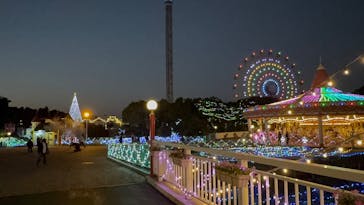 レオマリゾートに投稿された画像（2024/11/8）