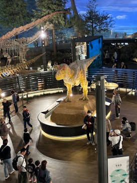 福井県立恐竜博物館に投稿された画像（2024/11/8）