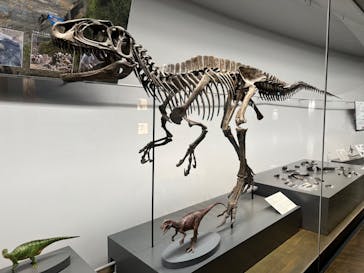 福井県立恐竜博物館に投稿された画像（2024/11/8）