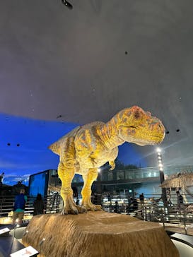福井県立恐竜博物館に投稿された画像（2024/11/8）