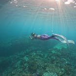 ソルキスに投稿された画像（2024/10/1）