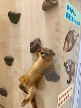 アニタッチららぽーと名古屋みなとアクルスに投稿された画像（2024/11/8）