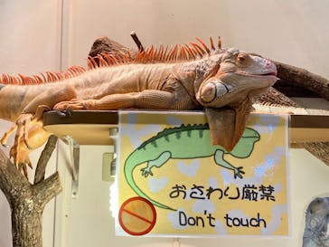 アニタッチららぽーと名古屋みなとアクルスに投稿された画像（2024/11/8）