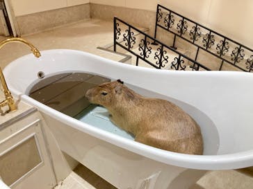 アニタッチららぽーと名古屋みなとアクルスに投稿された画像（2024/11/8）