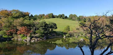 万博記念公園に投稿された画像（2024/11/8）