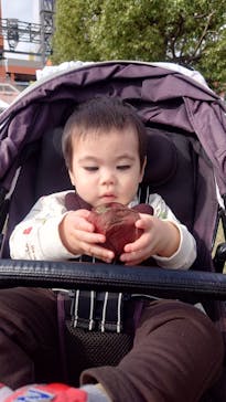 静岡おいも万博2025に投稿された画像（2024/11/8）