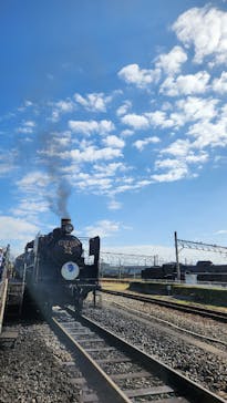 京都鉄道博物館×京都水族館に投稿された画像（2024/11/8）