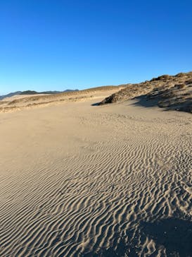 鳥取砂丘セグウェイ ワイルドアドベンチャーツアーに投稿された画像（2024/11/8）