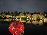 国営昭和記念公園 秋の夜散歩に投稿された画像（2024/11/8）