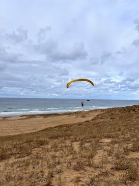 鳥取砂丘パラグライダー体験スクール（砂丘本舗）に投稿された画像（2024/11/8）