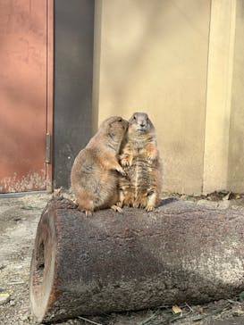 到津の森公園に投稿された画像（2024/11/8）