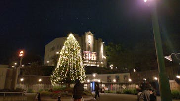 西武園ゆうえんちに投稿された画像（2024/11/8）