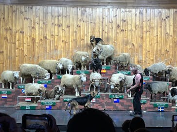 マザー牧場に投稿された画像（2024/11/8）