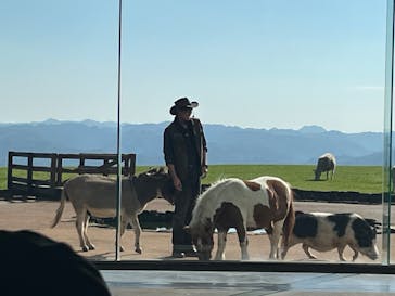 マザー牧場に投稿された画像（2024/11/8）