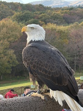 那須どうぶつ王国に投稿された画像（2024/11/8）