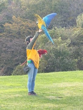 那須どうぶつ王国に投稿された画像（2024/11/8）