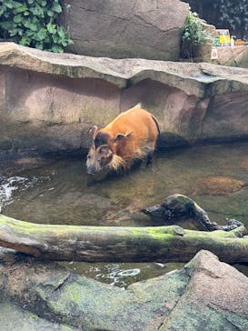 那須どうぶつ王国に投稿された画像（2024/11/8）