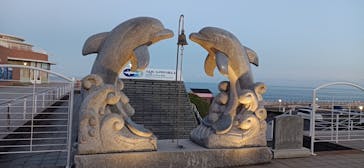 アクアワールド茨城県大洗水族館に投稿された画像（2024/11/8）