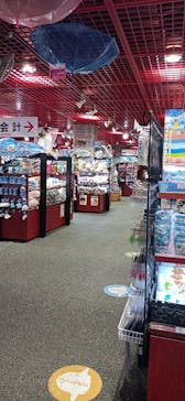 アクアワールド茨城県大洗水族館に投稿された画像（2024/11/8）